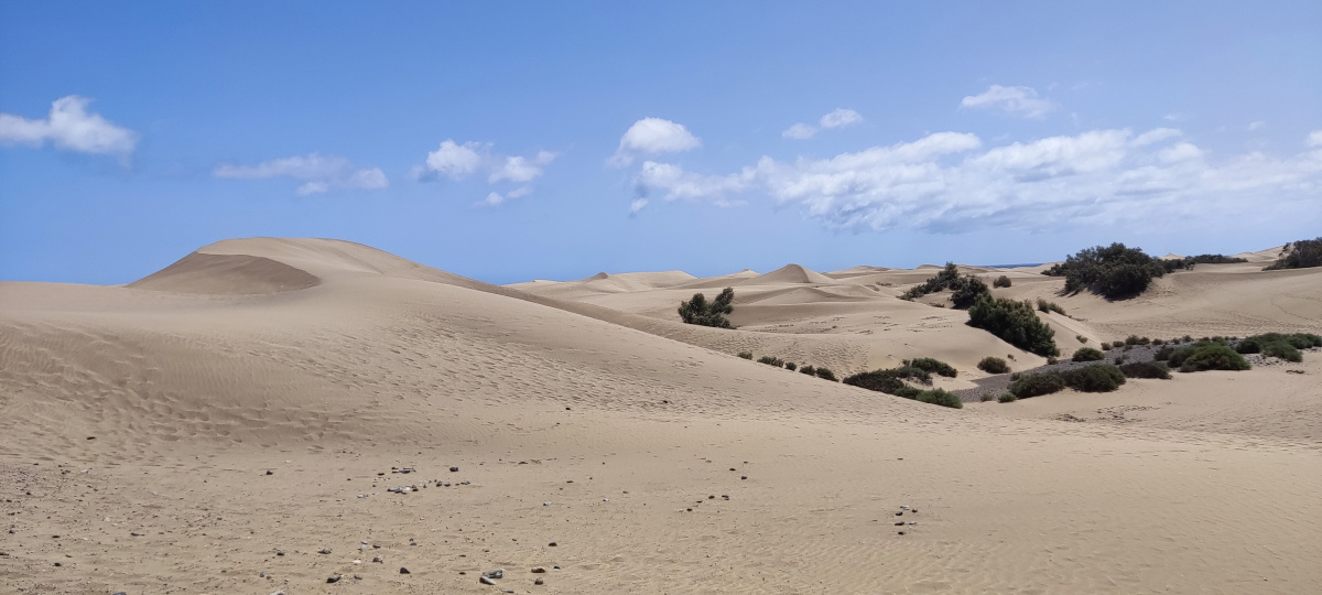 Foto 1 Dunas de Maspalomas