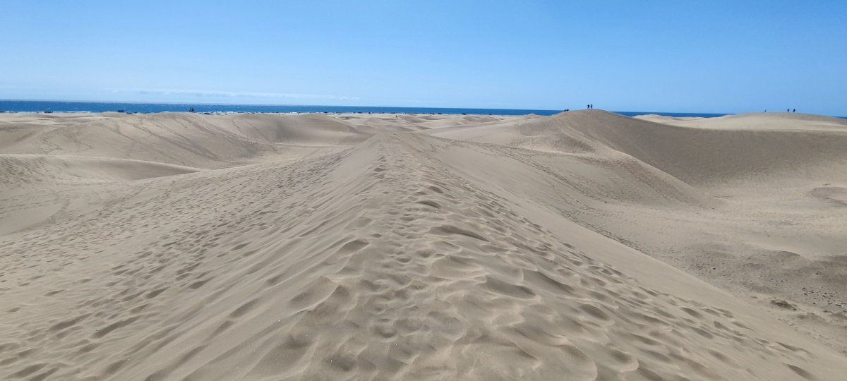 Foto 2 Dunas de Maspalomas